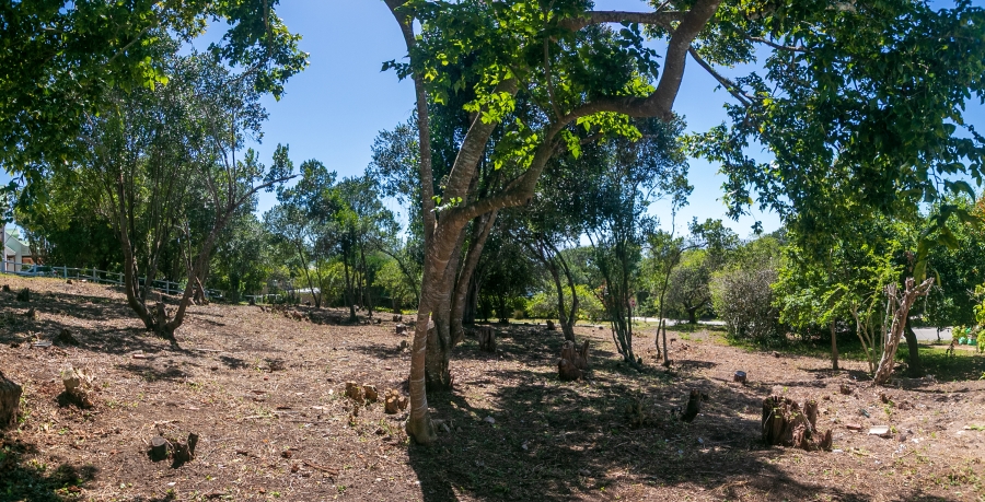 0 Bedroom Property for Sale in Belvidere Estate Western Cape